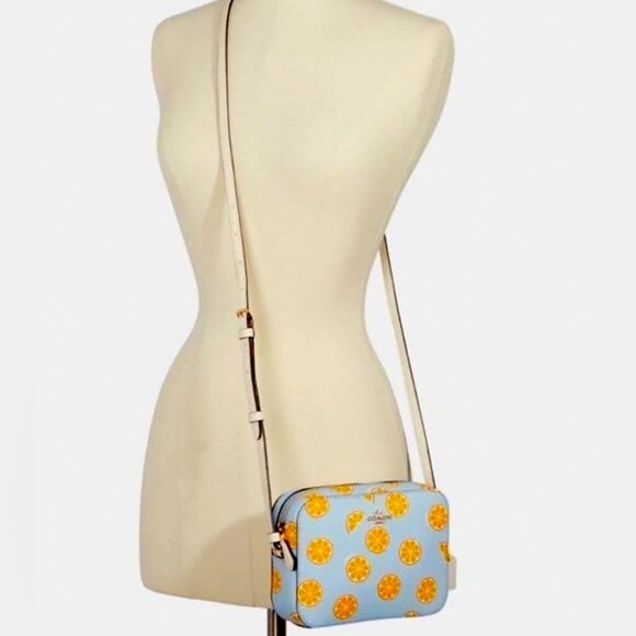 Limited Edition Coach Mini Camera Bag Crossbody With Orange Print - Picture 15 of 15